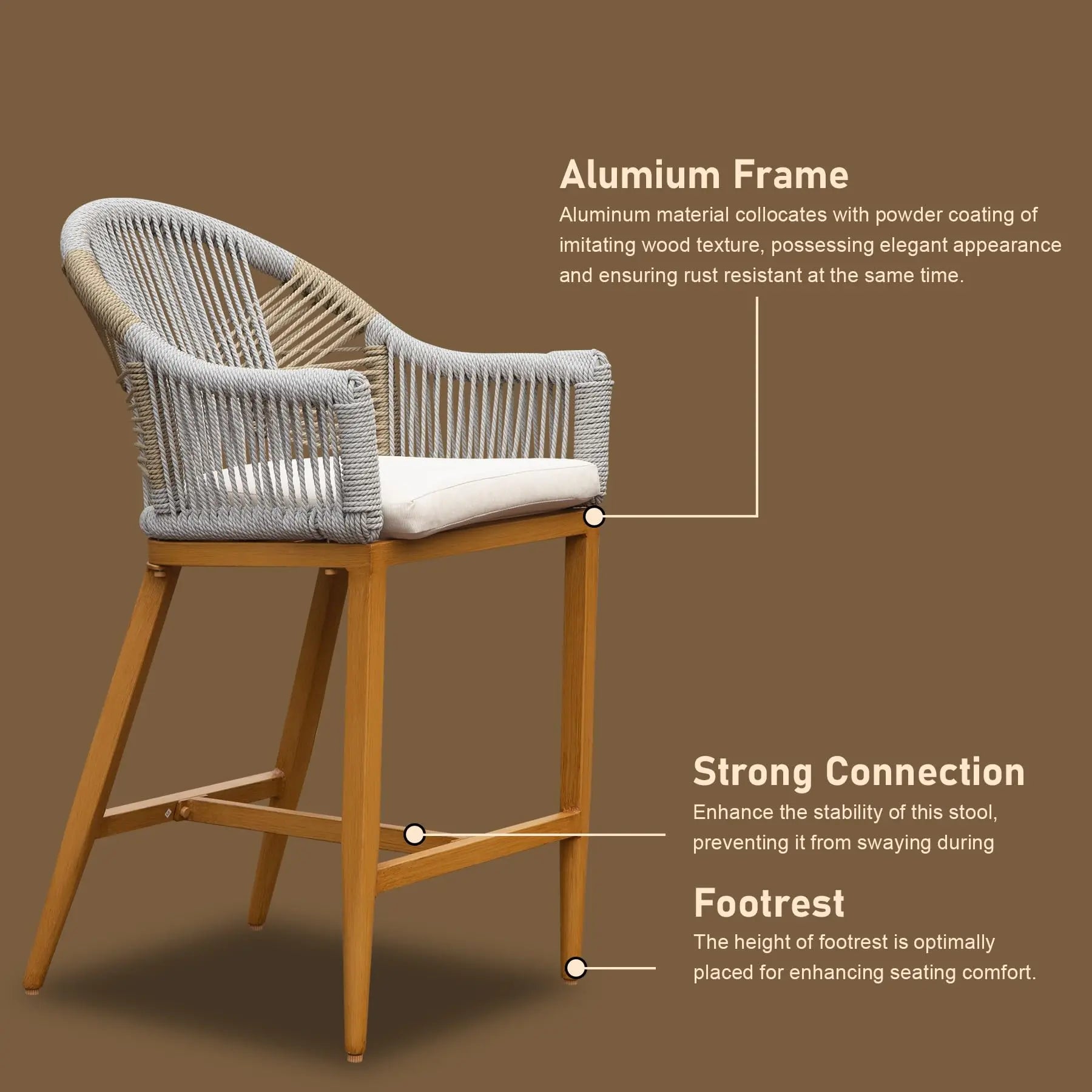 Modern Bistro Dining Chairs (Set of 2)