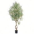 Realistic Indoor Floor Plant
