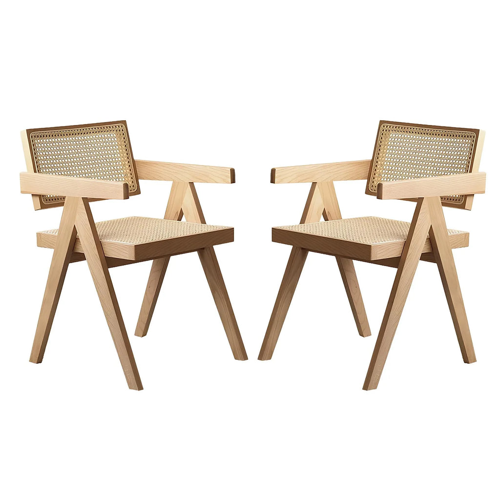 Mid-Century Rattan Outdoor Chair