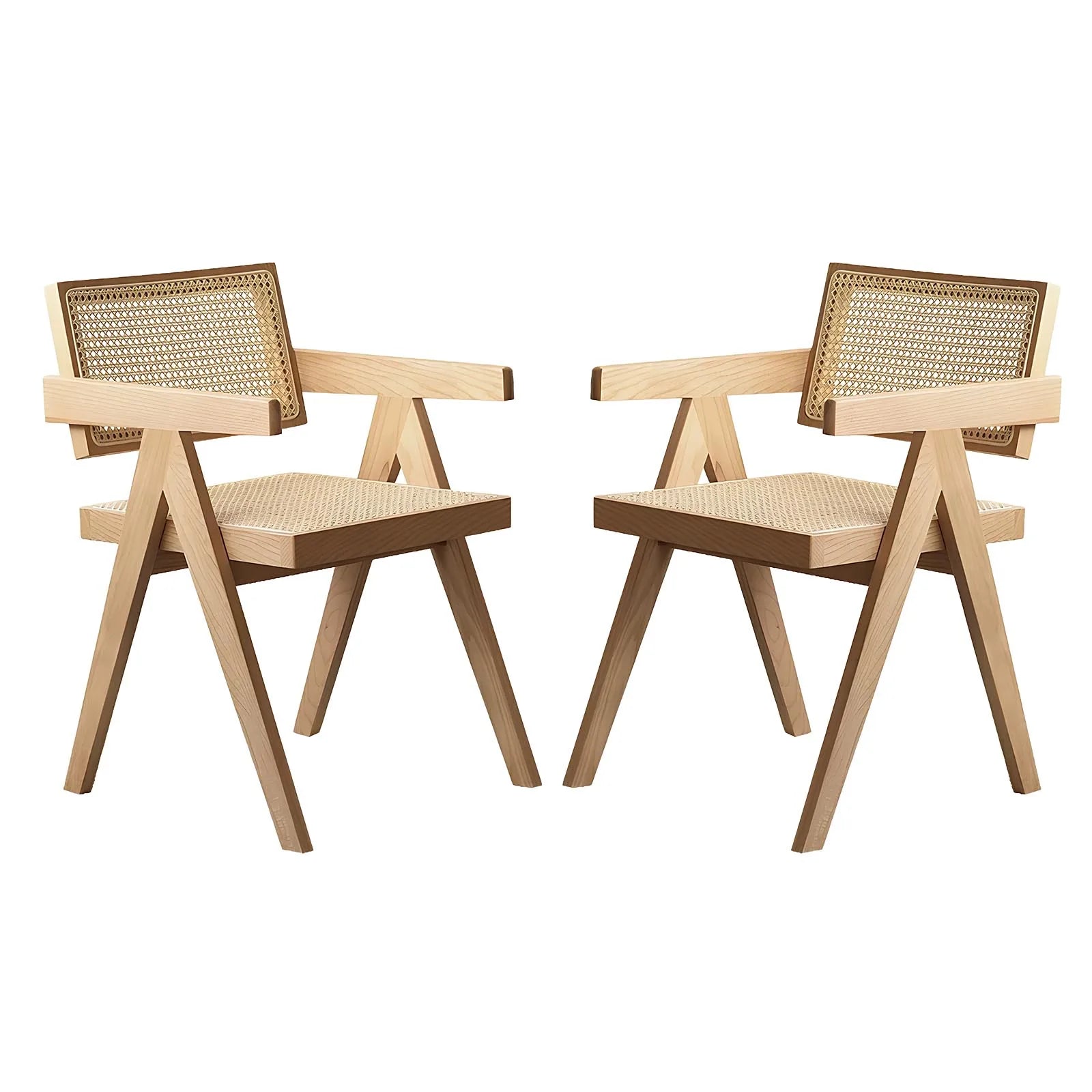 Mid-Century Rattan Outdoor Chair