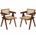 Mid-Century Rattan Outdoor Chair