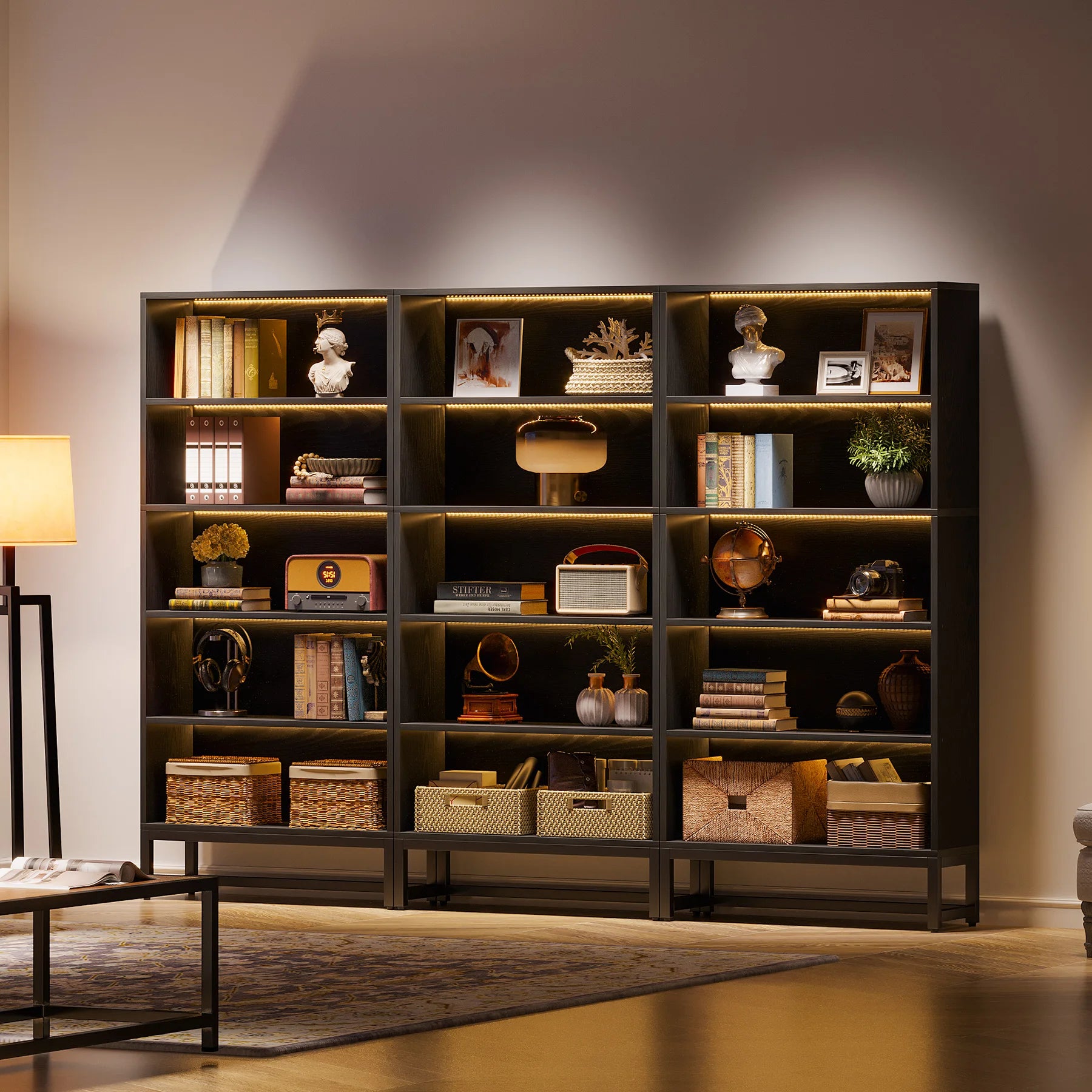 Modern Black LED Bookcase